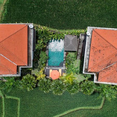 Cenik Villa Ubud Bagian luar foto