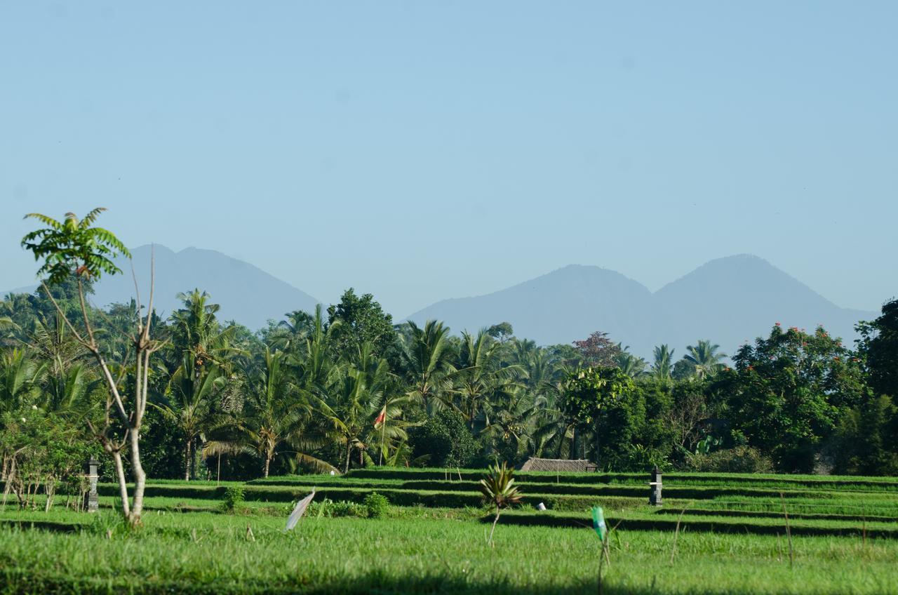 Cenik Villa Ubud Bagian luar foto