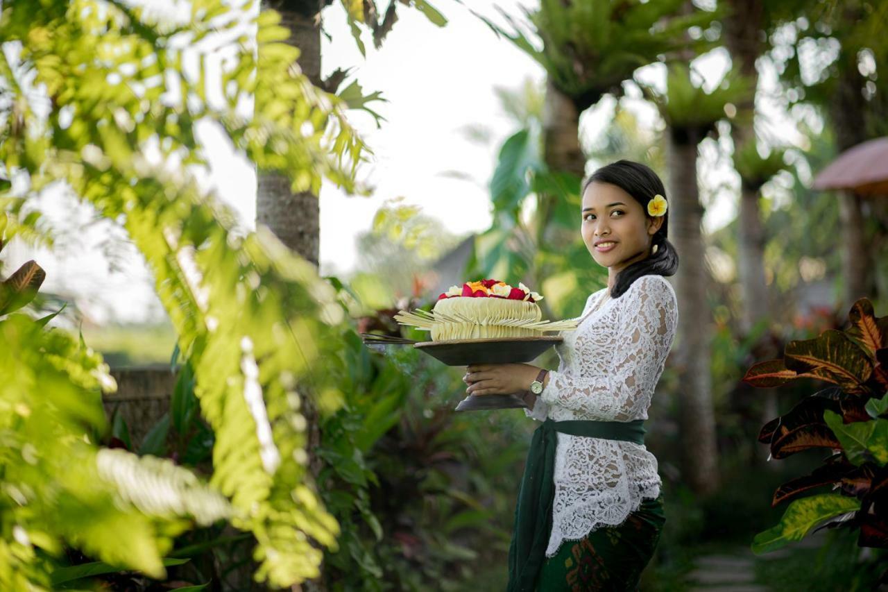 Cenik Villa Ubud Bagian luar foto