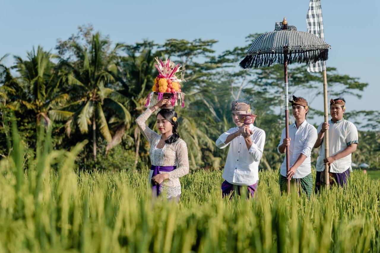 Cenik Villa Ubud Bagian luar foto