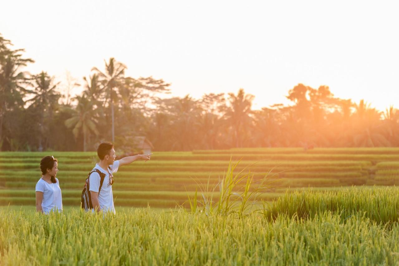 Cenik Villa Ubud Bagian luar foto