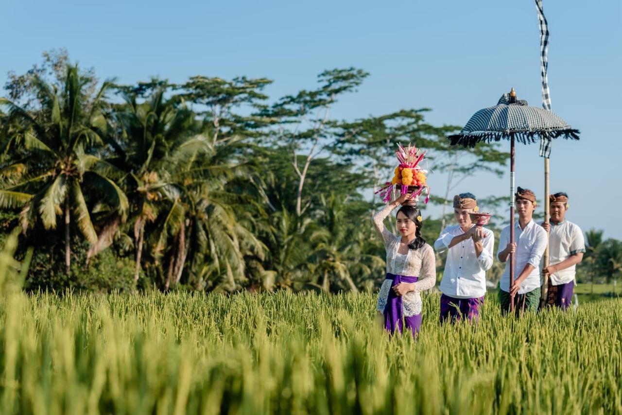 Cenik Villa Ubud Bagian luar foto